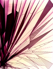 coloration trame